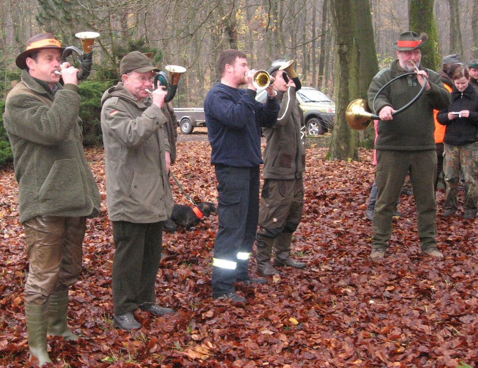 Jagdhornbläser bei einer Gesellschaftsjagd im Herbstwald