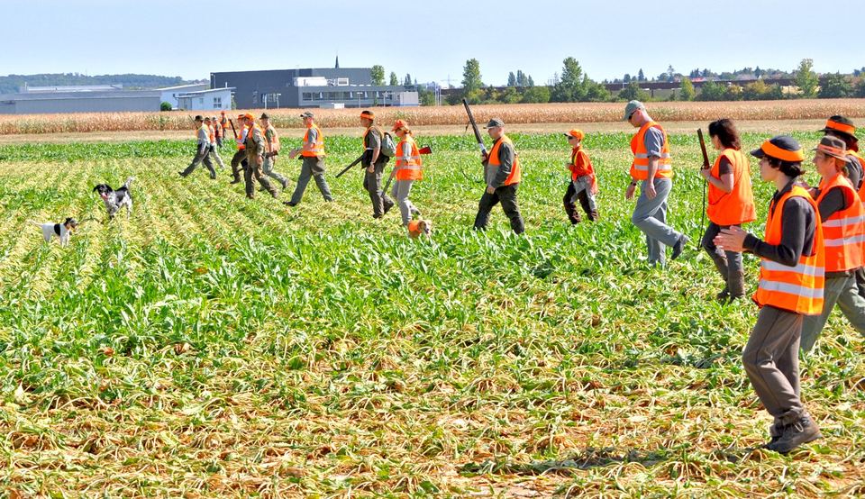 Treiber und Schützen in Warnwesten auf einem Feld