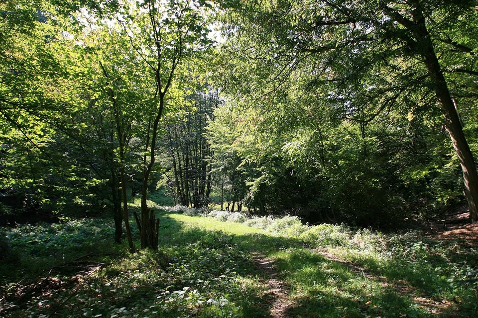 Ernstbachtal